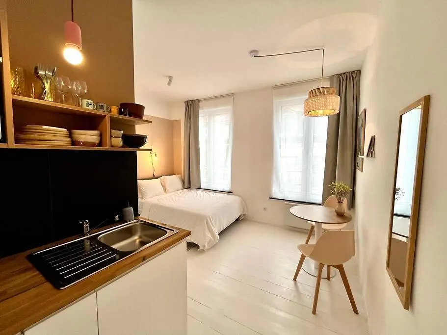 Apartmán Chez Louise - A Haven Of Peace In Brusel Belgie